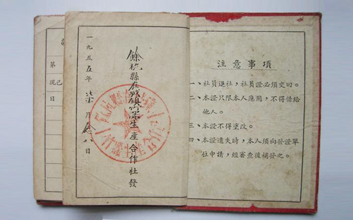 1951年 